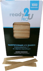 Ready 2u Scobitori 1000 Buc