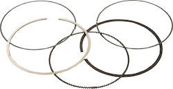 Spare Set of Piston Springs Vertex 590310000001