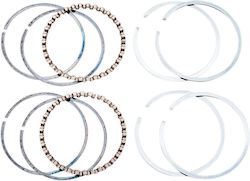 Hastings Motorradkolben & Zylinder Ersatzfeder Set Für Viertaktmotor Wg1254945|6482040