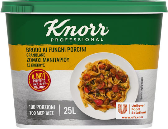 Knorr Porcini Mushroom Broth 500gr 6-72533