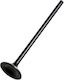 Intake Valve Steel Vertex Hc00036