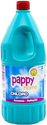 Pappy Home Χλωρίνη σε Υγρή Μορφή 2lt