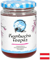 Gall Pharma Κομπούχα σε Σκόνη 200ml