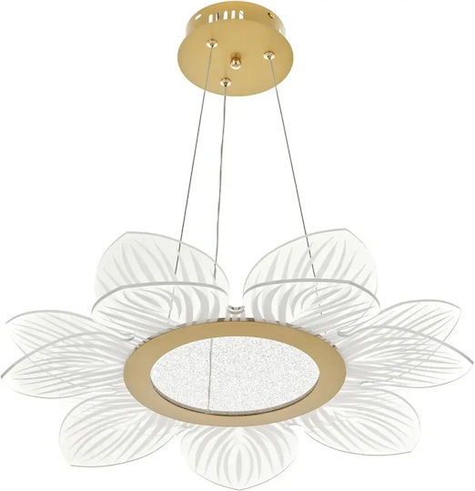 Deckenleuchte Gold mit Integrierte LED