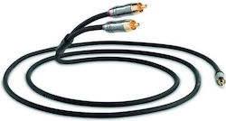 QED Performance J2p Graphit Kabel 3m