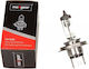 Maxgear Maxgear Autolampen H4 12V
