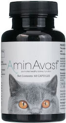 AminAvast AminAvast Hund und Katze Multivitamine in Kapseln für Harnwege/Nieren AminAvast AminAvast Hund und Katze Multivitamine in Kapseln für Harnwege/Nieren