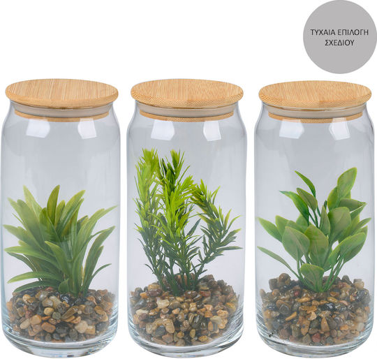 Artificial Potted Plant Φ7.7x16.9 Articasa 871125233555 Random Design Selection Φ7.7x16.9 Glass