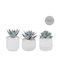 Artificial Potted Plant Φ6x10 Articasa 871125233552 Random Design Selection Φ6x10 Ceramic