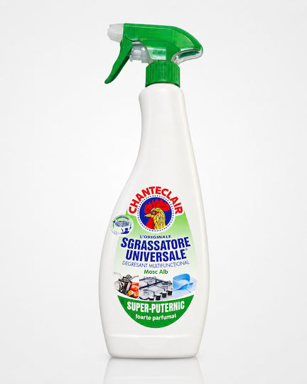 Chante Clair Professioneller Allzweckreiniger Spray Allgemeine Verwendung 600ml