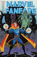 Fanfare Omnibus Vol 3 Steven Grant HC