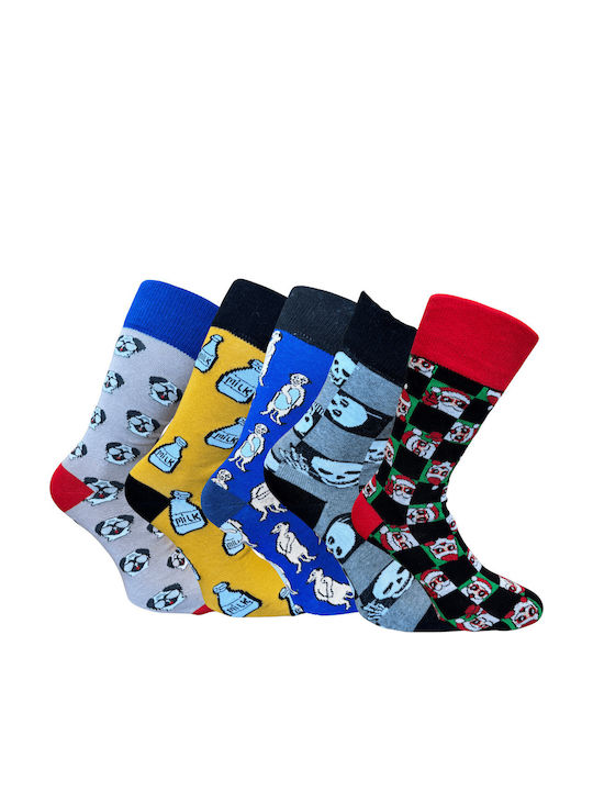 Kal-tsa Men's Multicolour Socks 5Pack