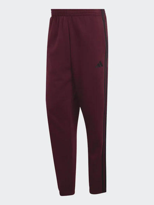 Herren-Sweatpants Pant Bordeaux Schwarz