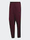 Herren-Sweatpants Pant Bordeaux Schwarz