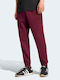 Feelcozy Sweatpants Burgundy