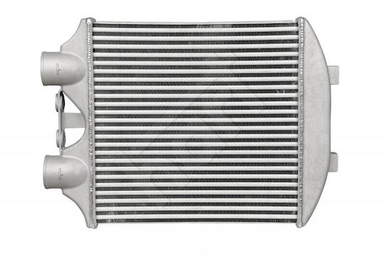 Auto-Kühlschrank Luft Seat Ibiza Cupra 2004-2008 6ll.145.804