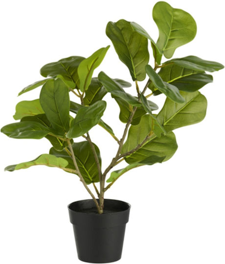 Day Potted Plant Fig 40cm Pack 4 Pieces