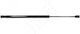 Trunk Lid Shock Absorber Jetta 10