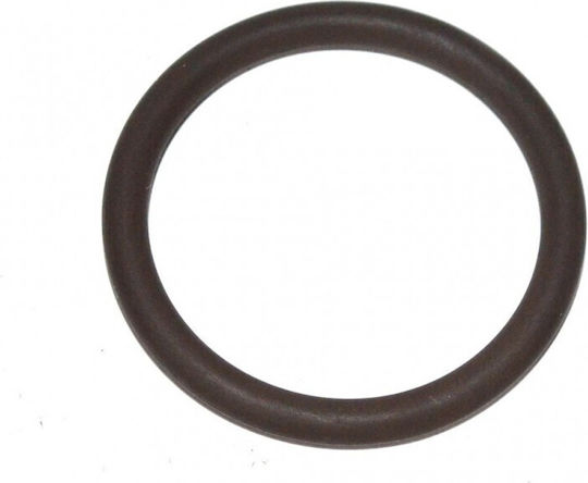 Oring Iveco Daily 00 Oring 7701043512