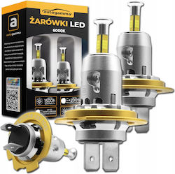H7 Led 360° Slim Φωτα Led Canbus 2τεμ 100w 36000 Lm 6000k H7 Led 360° Slim Φωτα Led Canbus 2τεμ 100w 36000 Lm 6000k