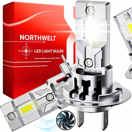 H7 LED Lights LED Canbus 2 Pieces 100W 22000 Lm 6500K
