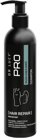 Dr Lucy Pro Langhaar Hundeshampoo 250 Ml