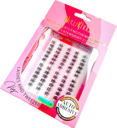 New & How Eyelash Extension Set Auto Adhesive False Eyelashes Individual Strip Self-Adhesive & Placement Tweezers New & How Eyelash Extension Set Auto Adhesive False Eyelashes Individual Strip Self-Adhesive & Placement Tweezers