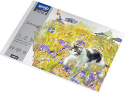 Блок За Рисуване 10 Листа 350гр – B3 35x50см