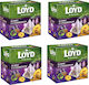 Loyd Tea 80 Bags