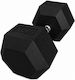 Profit Haltere Hexagon 1 x 50kg