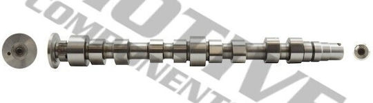 Motiv Nockenwelle Eingabe Vw 1,4 16v 036109101dg