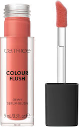 Catrice Cosmetics Flush Liquid Ρουζ 9ml