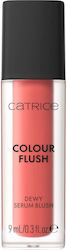 Catrice Cosmetics Flush Liquid Ρουζ 9ml