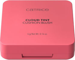 Catrice Cosmetics Ρουζ 030 4gr Catrice Cosmetics Ρουζ 030 4gr