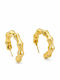 FantazyStores Earrings Hoops