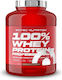 Scitec Nutrition 100% Whey Protein Professional Organic Whey Protein Gluten Free with Lemon Cheesecake Flavor 1.8kg