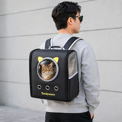 Hundetragetasche Für Hund Und Katze Bis 8kg M36xB34xH23cm Hundetragetasche Für Hund Und Katze Bis 8kg M36xB34xH23cm