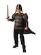Children's Viking Costume