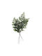 Stabilisierter Farn Adiantum