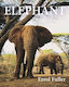 Elephant - Princeton University Press - Hardback