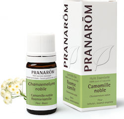 Pranarom Етерично Масло Лайка 5ml