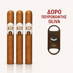 Oliva Nicaragua Corona Zigarren Connecticut 3 Stück 102mm Oliva Nicaragua Corona Zigarren Connecticut 3 Stück 102mm