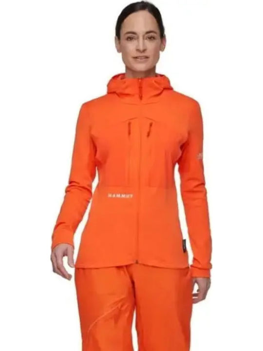 Mammut Mammut