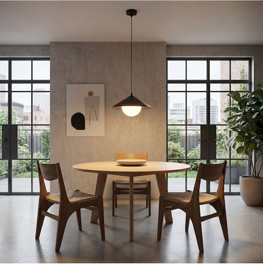 Emibig Black Pendant Ceiling Light