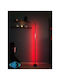 SteweHome Decorative Lighting RGB