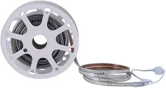 Prolutech Bandă LED Impermeabilă 220V Lumină Alb Natural 25m Tip SMD2835