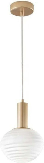 Domoletti Pendant Light with E27 Socket