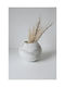 SteweHome SteweHome Decoratieve Vaas Weiß Φ7xΥ14cm