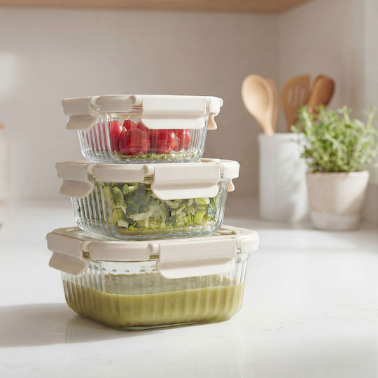 5Five Set of Beige Glass Lunch Boxes 3 Pieces