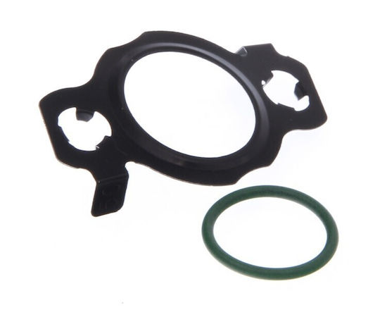 Egr Ventil Dichtung Fiat Jumper